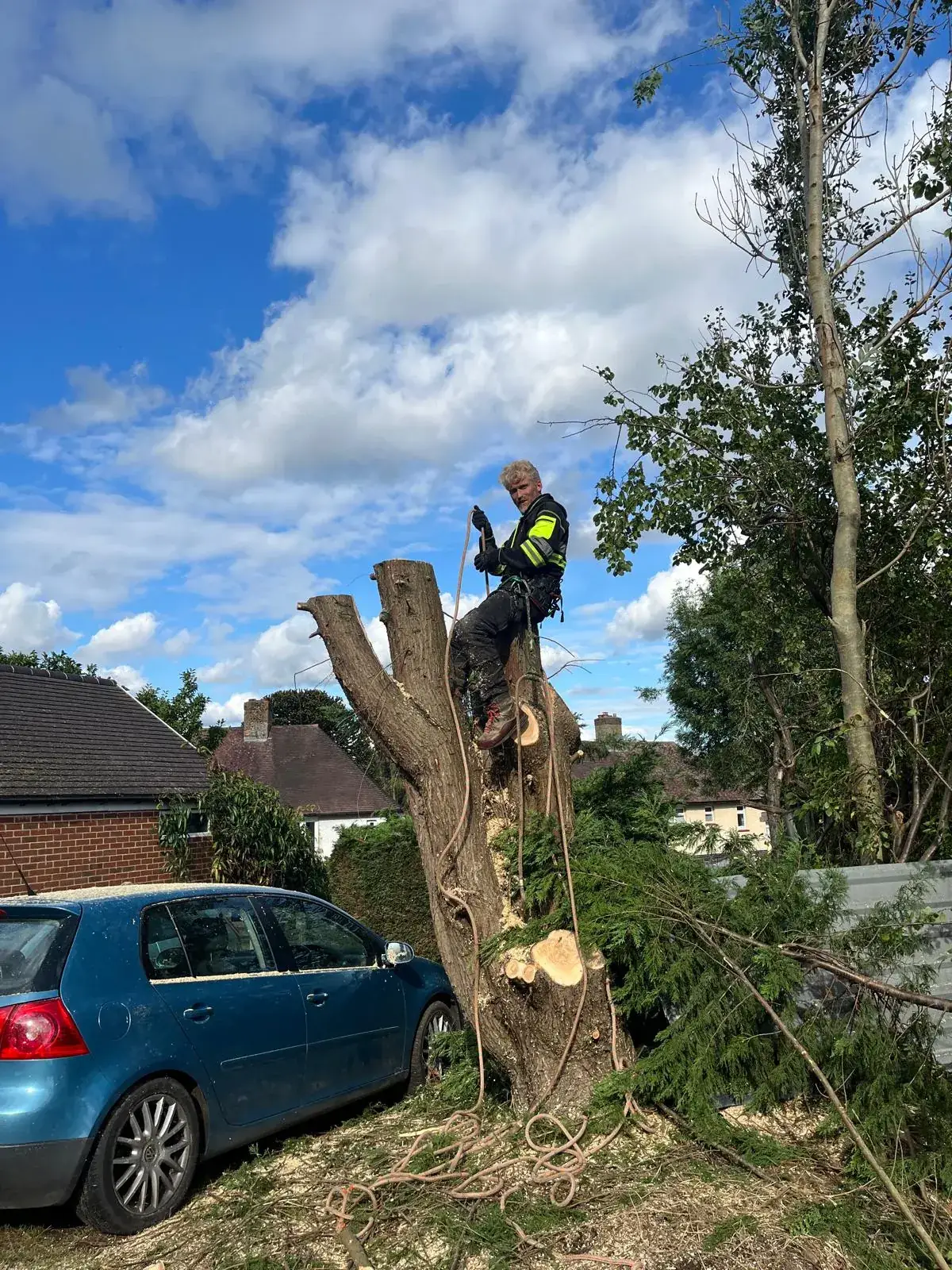 Tree surgeon dismantling a tree in sections beside a driveway