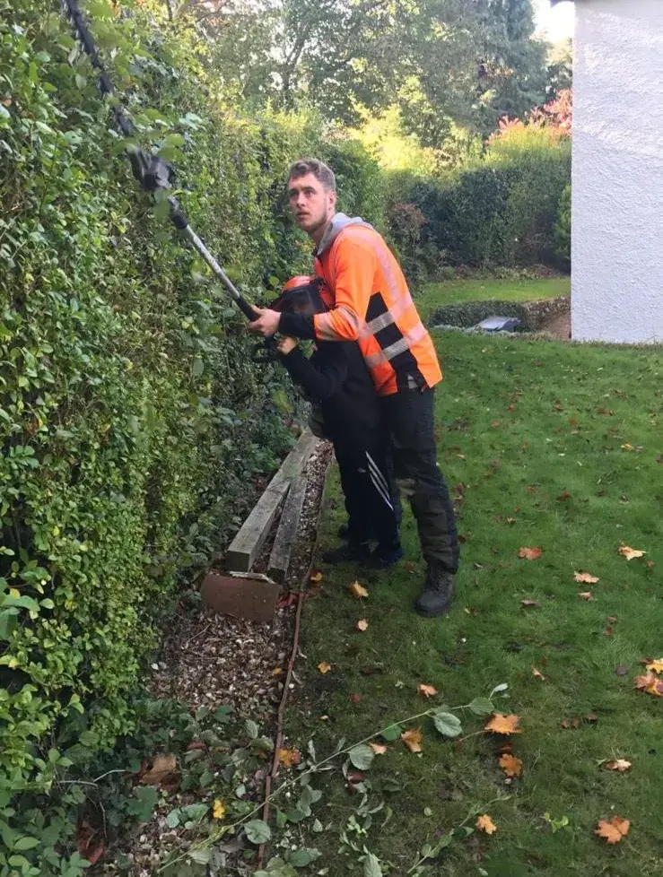 A man in an orange jacket is trimming a hedge.