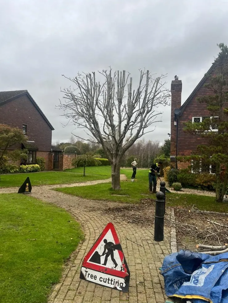 A street sign sitting on the side of a brick road.