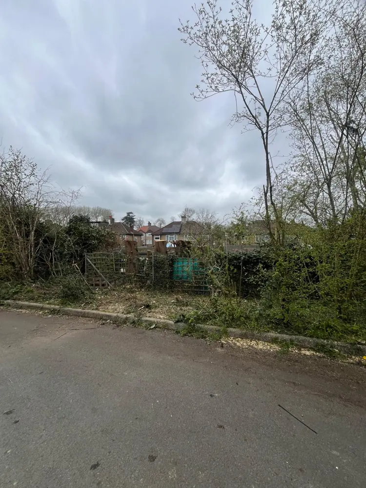 The same roadside cleared to low stumps and chippings, the fence and houses visible again
