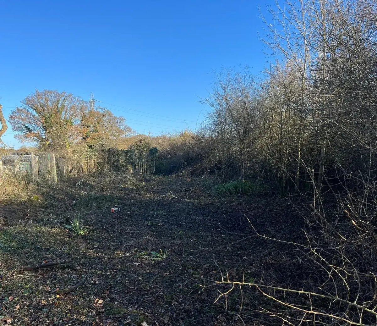 Overgrown corner of a plot cleared back to bare ground with fields beyond, Sidlow