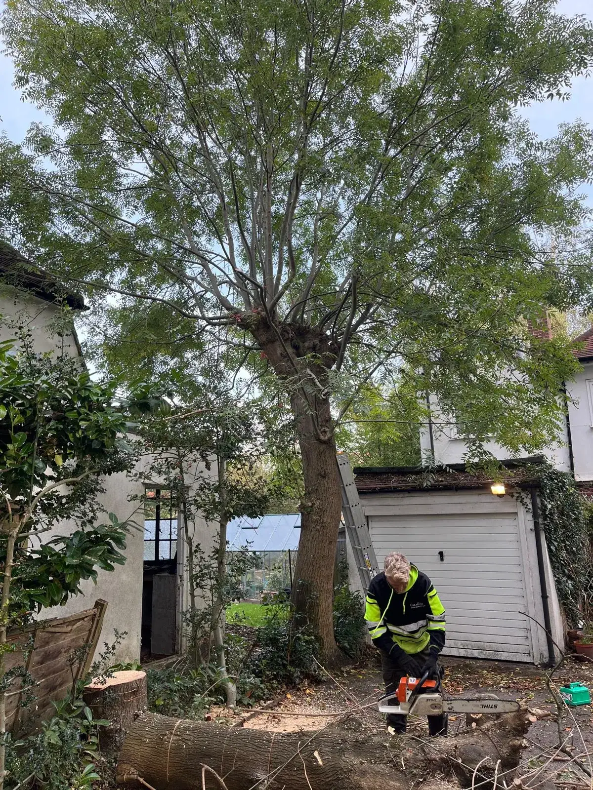 Cut of Art team member logging a felled ash beside a garage in Smallfield
